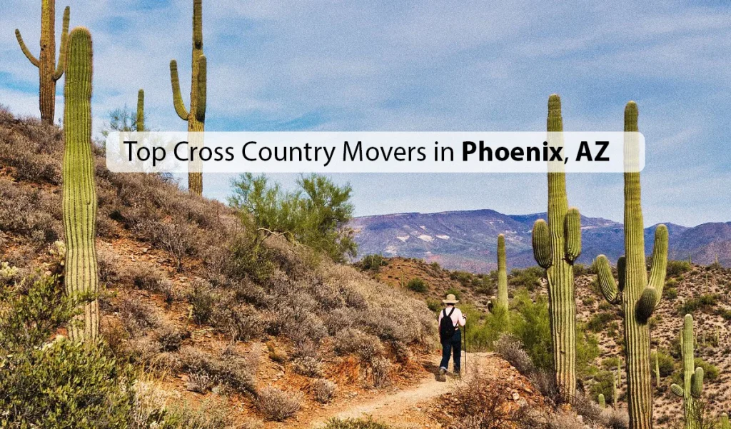 Top Cross Country Movers Phoenix