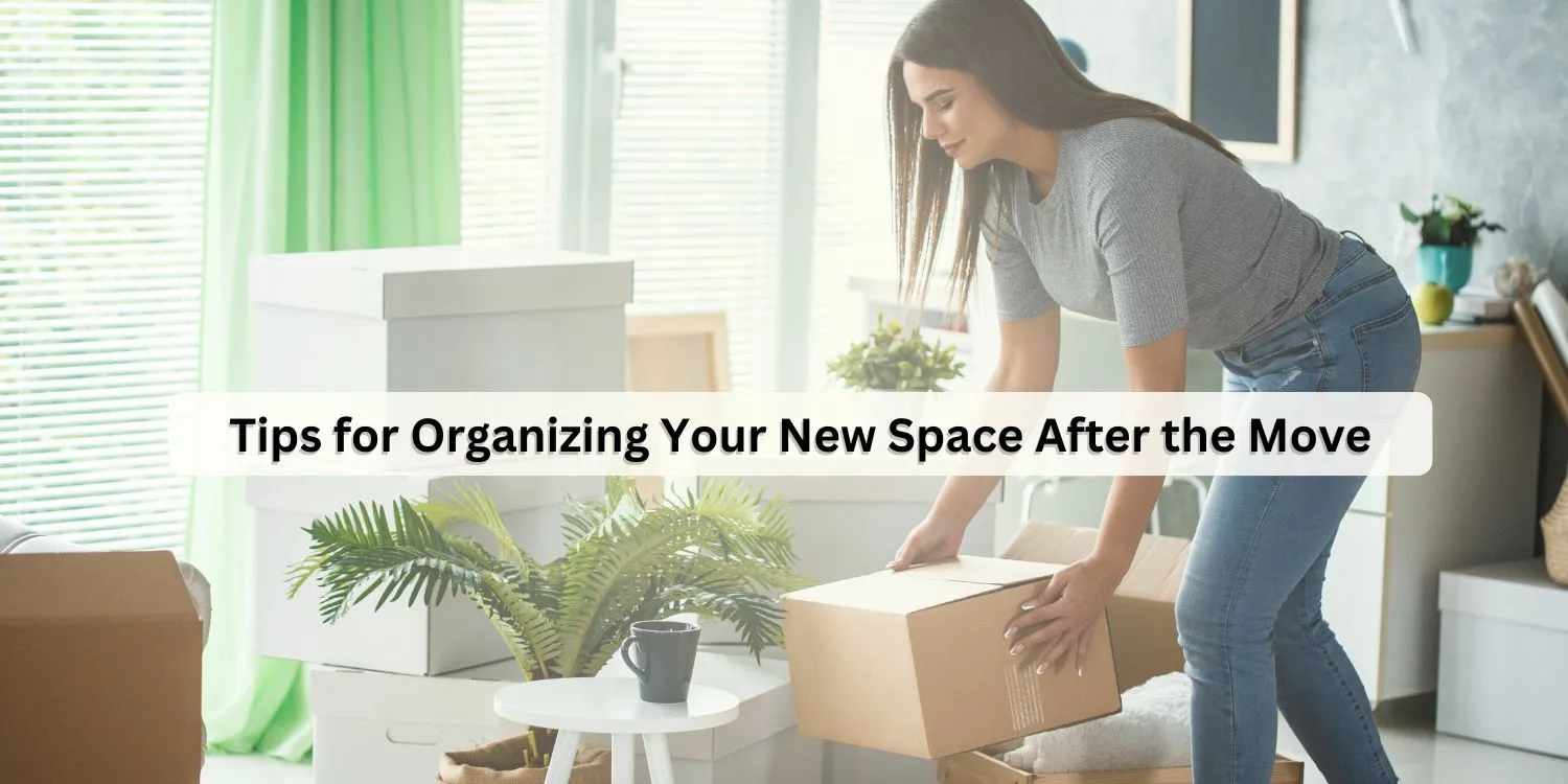 Tips for Organizing Your New Space after the Move